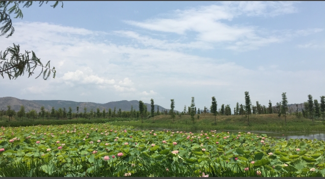 太湖流域基于控制单元的水质目标管理技术(TMML技术)5