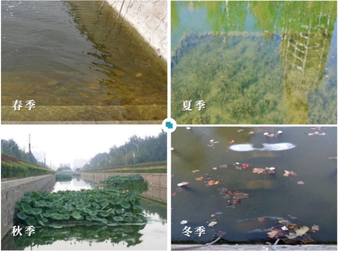 膜曝气生物反应器（MABR）水环境污染治理技术