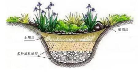 承德市“小三园+”土壤渗滤灰水资源化利用典型案例