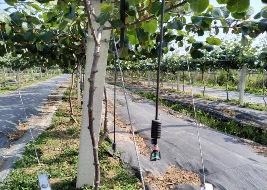 陕西省汉中市城固县“政企协作、互惠共赢”实现农村生活污水资源化利用典型案例