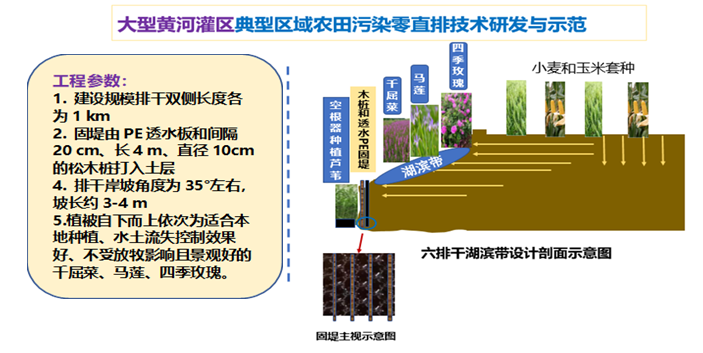 农田径流排水路径优化与蓄滞回用的污染零直排技术