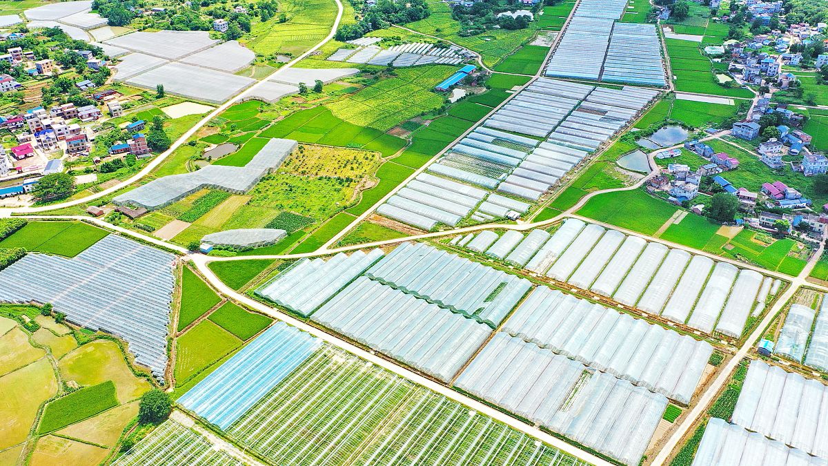 城镇复合面源污染渗-滞-蓄-净全过程梯级削减技术