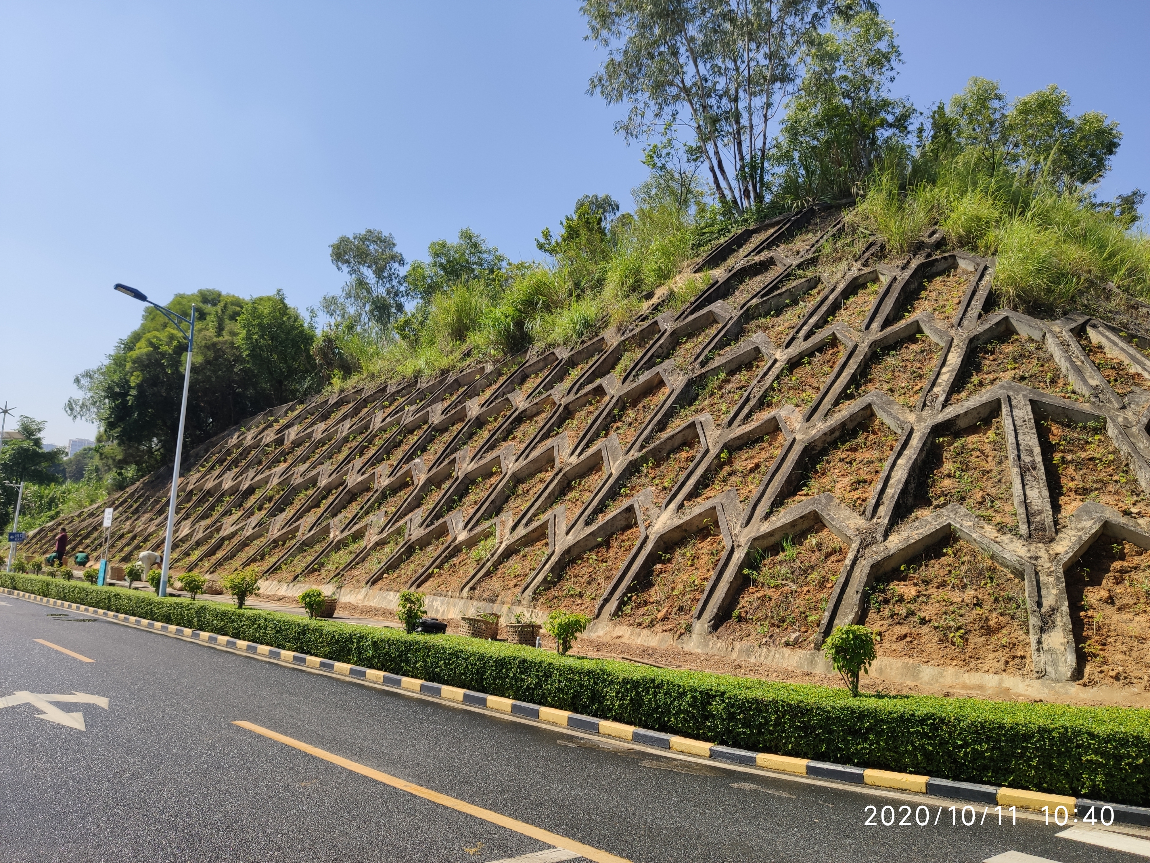格构梁边坡生态修复技术应用推广