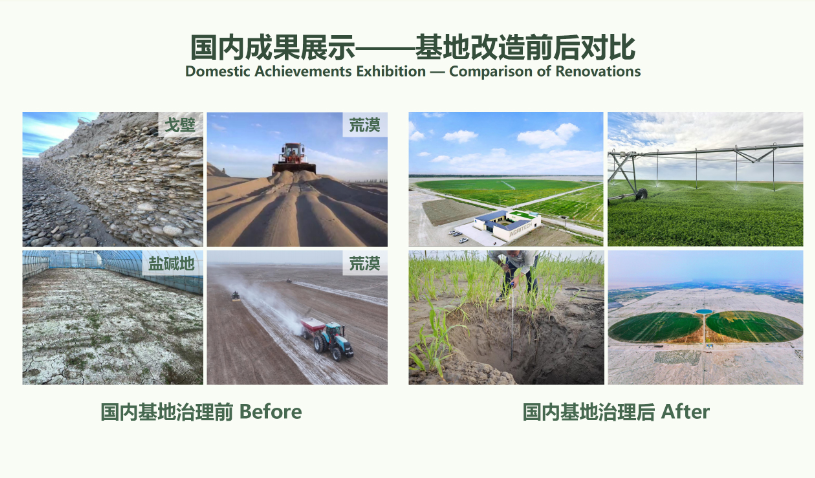 科技赋能荒漠生态修复与绿色荒漠可持续农业解决方案应用推广
