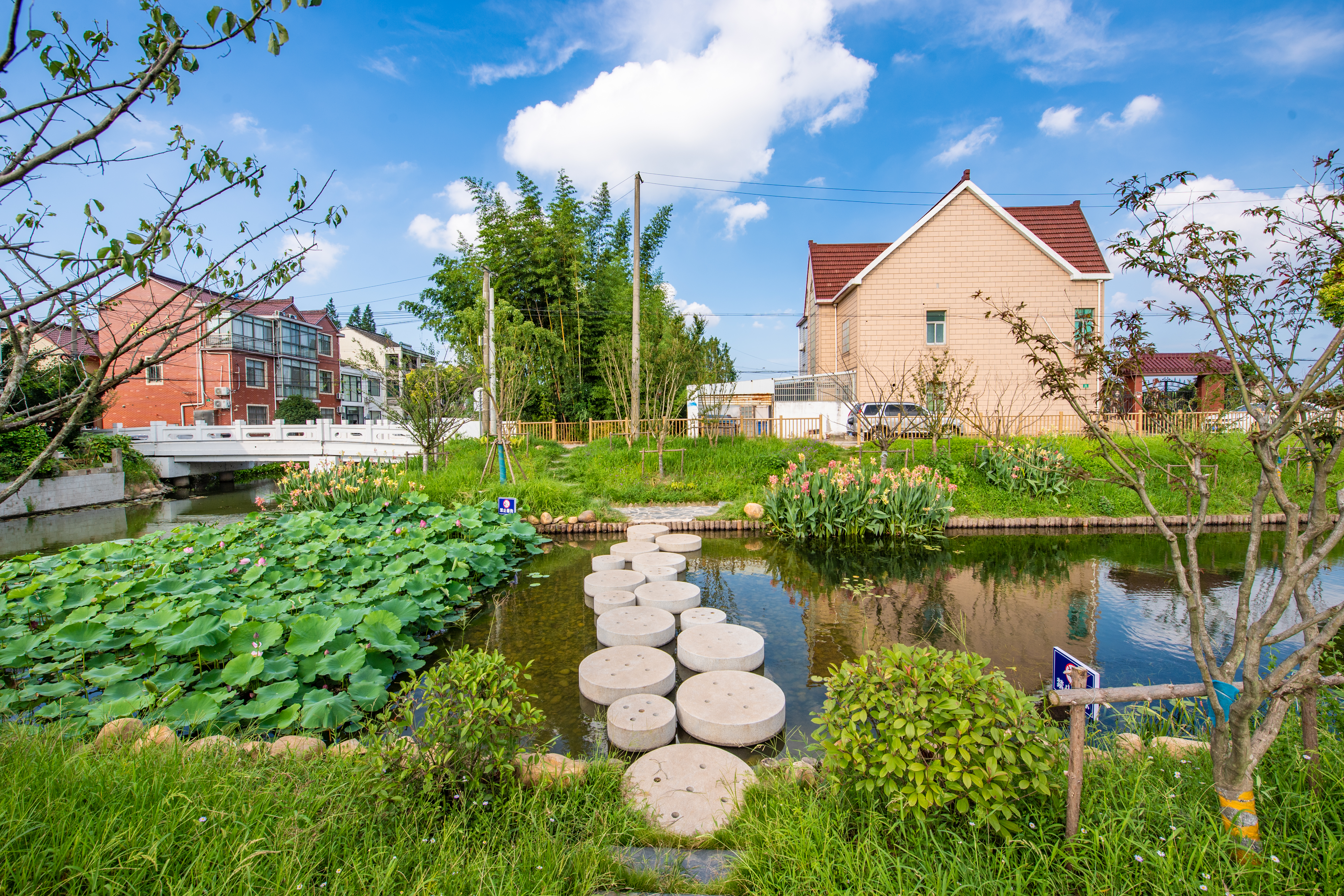 山恒水环境生态化长效治理技术及产业化