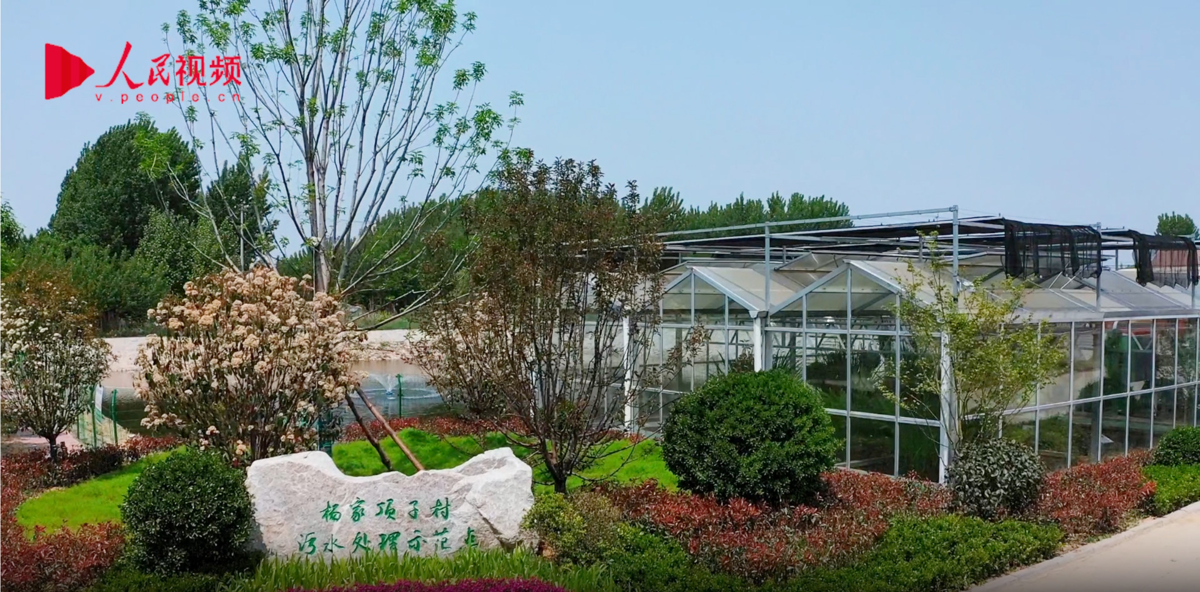 科技助力生态振兴“山东平度乡村污水生态治理与资源化利用”案例