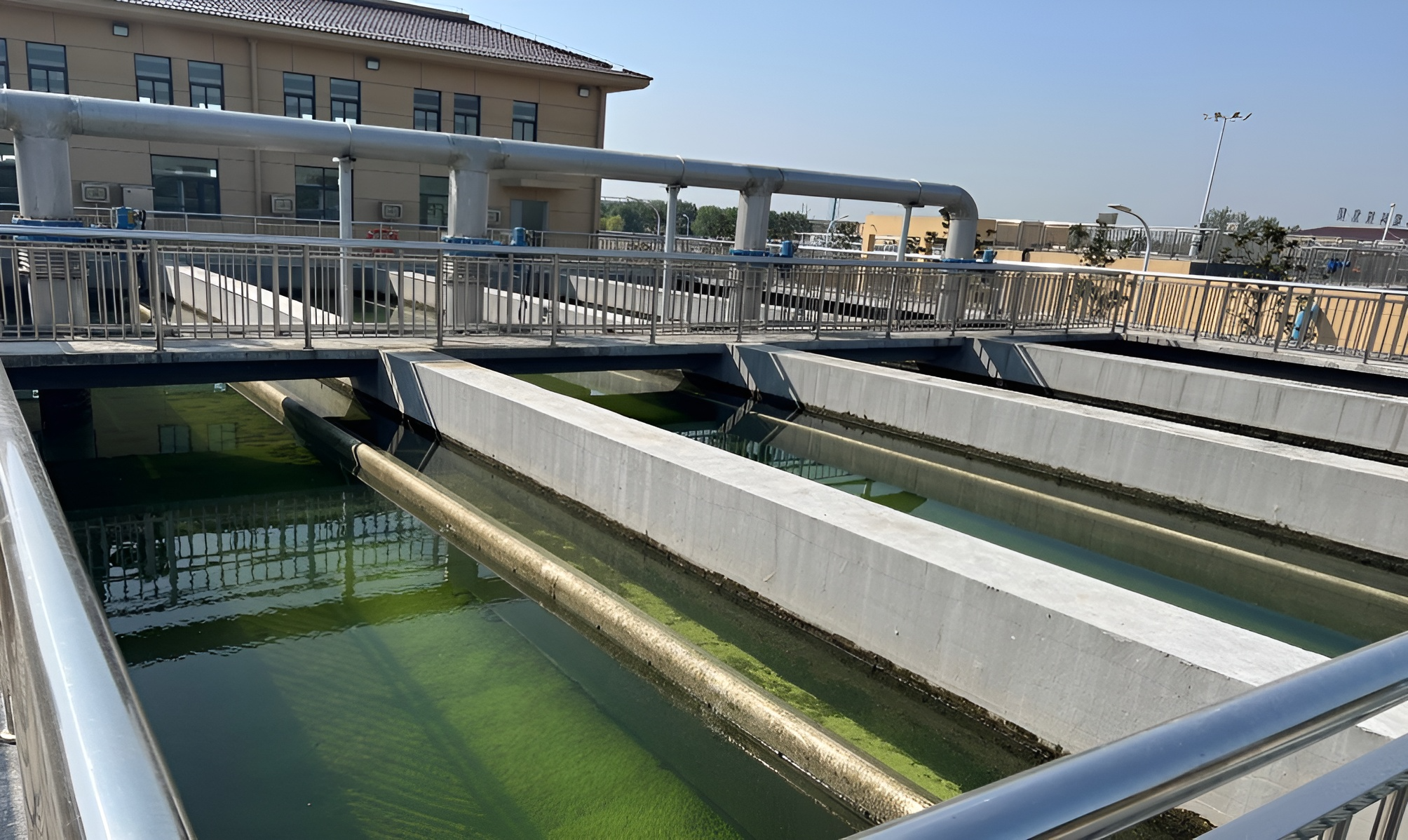 硫自养-异养协同一体化深度脱氮技术与应用