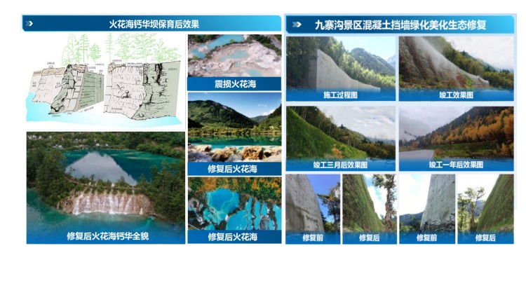 青藏高原环境扰损区生态修复材料-工艺-装备一体化集成技术体系应用推广